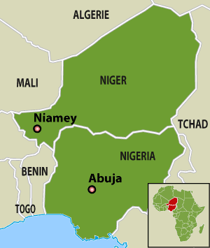 Federal Government denies claims alleging Nigeria and ECOWAS backed a failed coup in Niger Republic, dismissing the reports as false and misleading.
