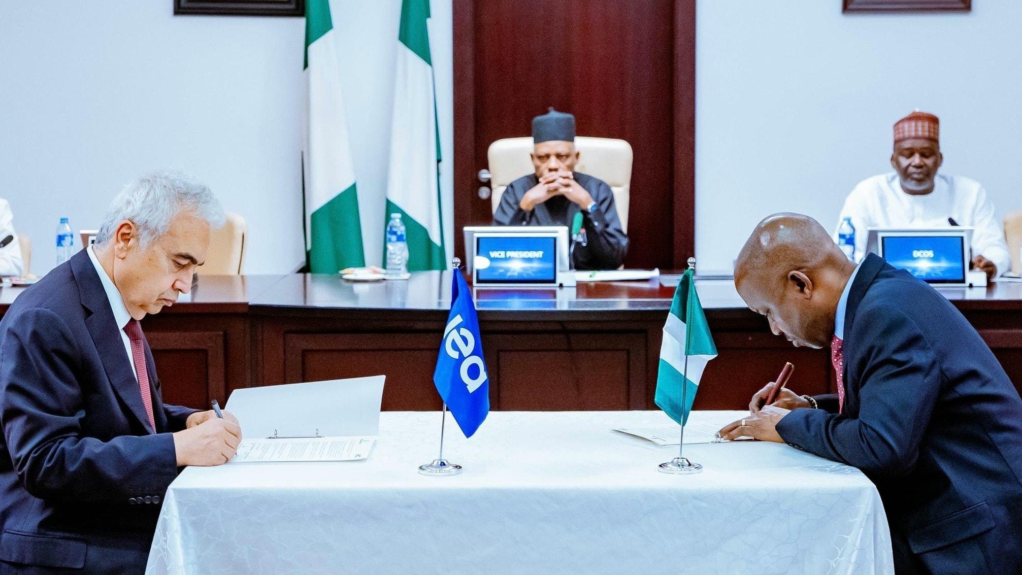 Vice President Kashim Shettima and IEA Executive Director